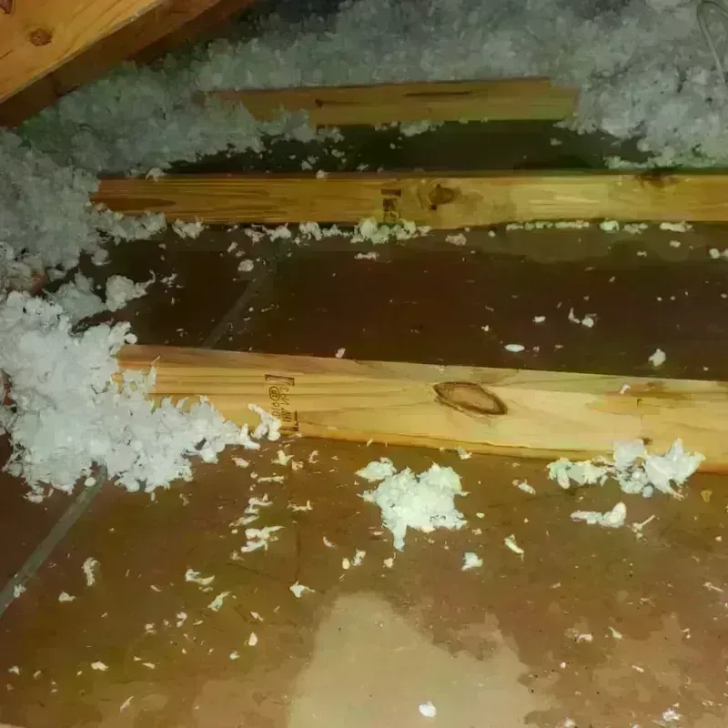 Attic Water Damage in Forsyth, MO