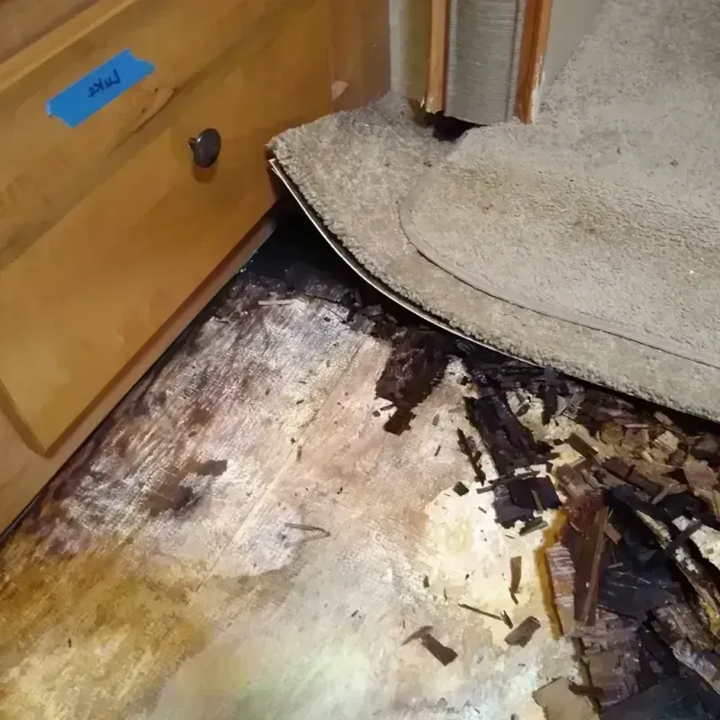 Wood Floor Water Damage in Forsyth, MO